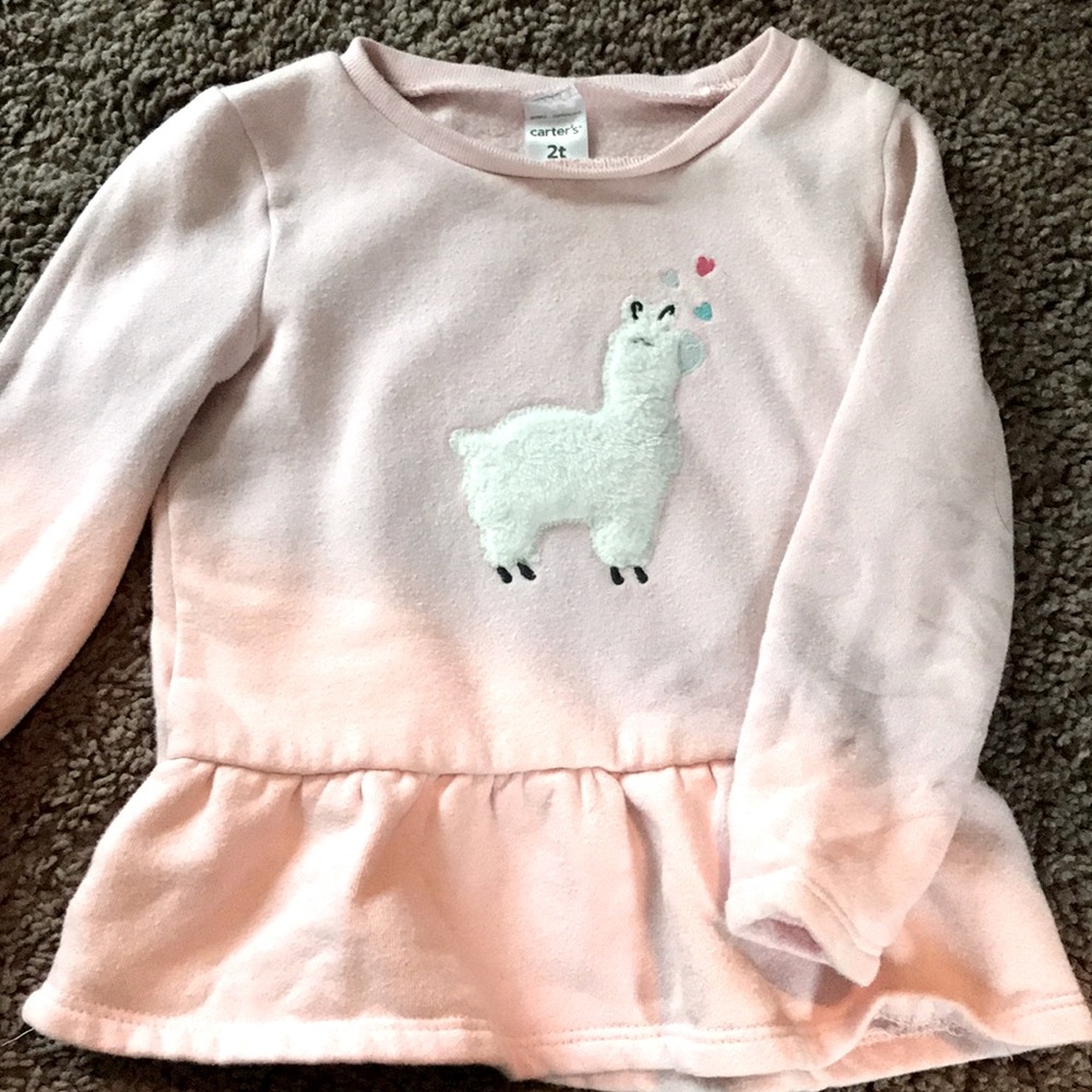 2t hoodie